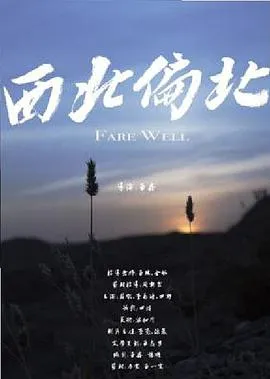 游侠儿
